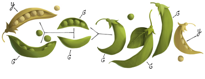 189. Geburtstag von Gregor Mendel