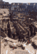 Das Colosseum (24 kb)